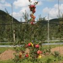 진홍산업 이미지