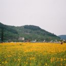 피어필름