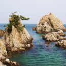 유채와바다 이미지