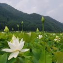 연화마을기업 이미지