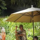 동굴왕족 이미지