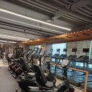 S휘트니스 이미지