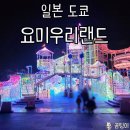 도쿄 11월 일루미네이션 명소 요미우리랜드 쥬얼미네이션