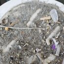 노블랜드 세탁 이미지