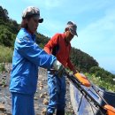 추도민박 이미지