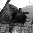 나는숲이다 이미지