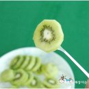 일진농원