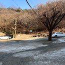 참치공주 이미지