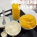 수원 아주대 빙수 맛집 모던프루츠 망고빙수 요거트아이스크림 후기
