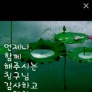 실집