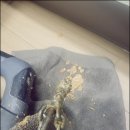운남동하수구막힘역류싱크대막힘역류변기막힘