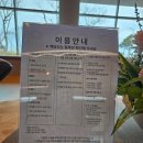 치유요가 (체형관리 및 명상) | 아이와 실내 데이트: 태안 해양치유센터 17개월 아기 동반 리얼 방문 후기