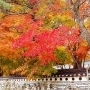 미리내팬션 이미지