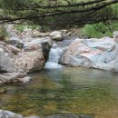 녹수초교 이미지