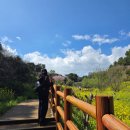 토평목장 | [여행 조각#1] 봄날의 제주