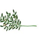 스튜디오구움