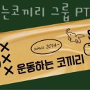 운동하는코끼리 이미지