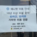 애니네 반려견 미용실 이미지