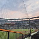 전용정구장 | [야구장] 대전 한화이글스 한화생명볼파크 123구역 18열 시야 직관 후기