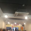 이든돈카츠