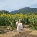 환경시설관리공사 달성사업소 이미지