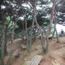 안산천1 이미지