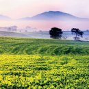 농사체험야영장 이미지