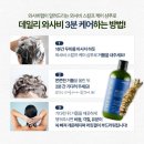 두피가 시원해지는 와사비랩샴푸 후기! 비듬·탈모 고민 한 번에 해결