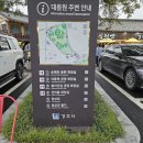 대릉원 | 경주 대릉원 천마총 황리단길 이용 후기