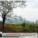 상주문경교차로