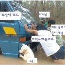 버그자바