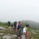 NJ Appalachian Trail Section 6: 6월 12일 2011년 (1) 이미지