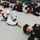 드림 합기도 이미지