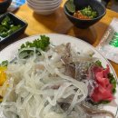 우리바다세꼬시 | [당산동] 우리바다 세꼬시오징어 내돈내산 후기 / 오징어회 전어 새우튀김 🍤