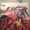 크린미타 이미지