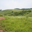 설매재자연휴양림 이미지