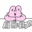 무늬카레 이미지