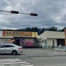 강원도 여행 해장 필수코스 속초 곰치국