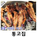 통고집거제 이미지