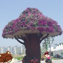 사직2동-14 네이버블로그