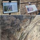 금오산약수터 | 대전 근교 아이와 가볼만 한 곳, 초보자 등산 추천하는 계룡산 등반 후기(주차, 정상까지 왕보 소요시간)