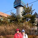 쌍화차거리 이미지