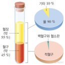 예수님의 피 이미지