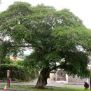 하영올레 3코스 이미지