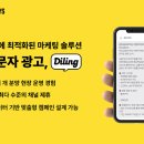 바나나몽키즈