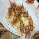 독도식당 | [포항 죽도시장 맛집] 대게 거리 시세 꿀팁! 수율 대박인 '동남회대게식당' 내돈내산 찐 후기 (+ 독도새우)