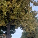 사옥마을회관 이미지