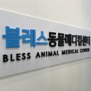 블레스동물메디컬센터 이미지