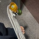 에그존&그린스미스 김해삼계점 이미지