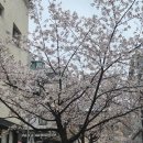 네일봄비 | 관저동네일샵 나혼자만 프라이빗한 제이즈네일 후기